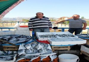 Balık sezonu başladı